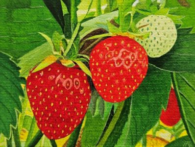 Frutas 13